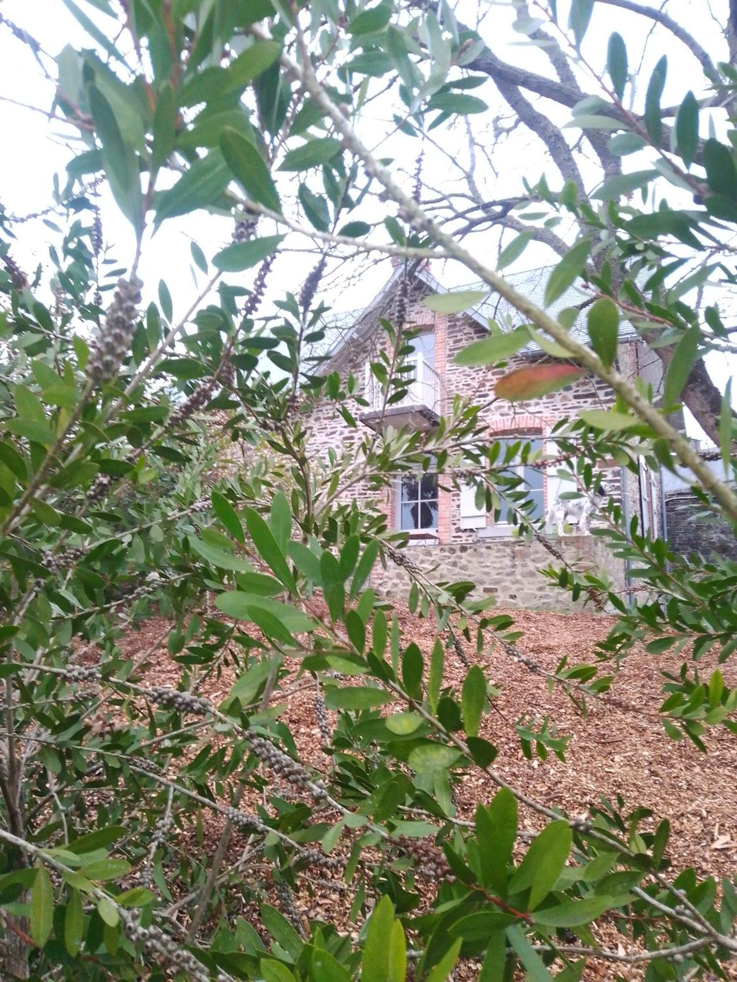 Domaine Le Gaudin - Saint Jean Le Thomasヴィラ 部屋 写真